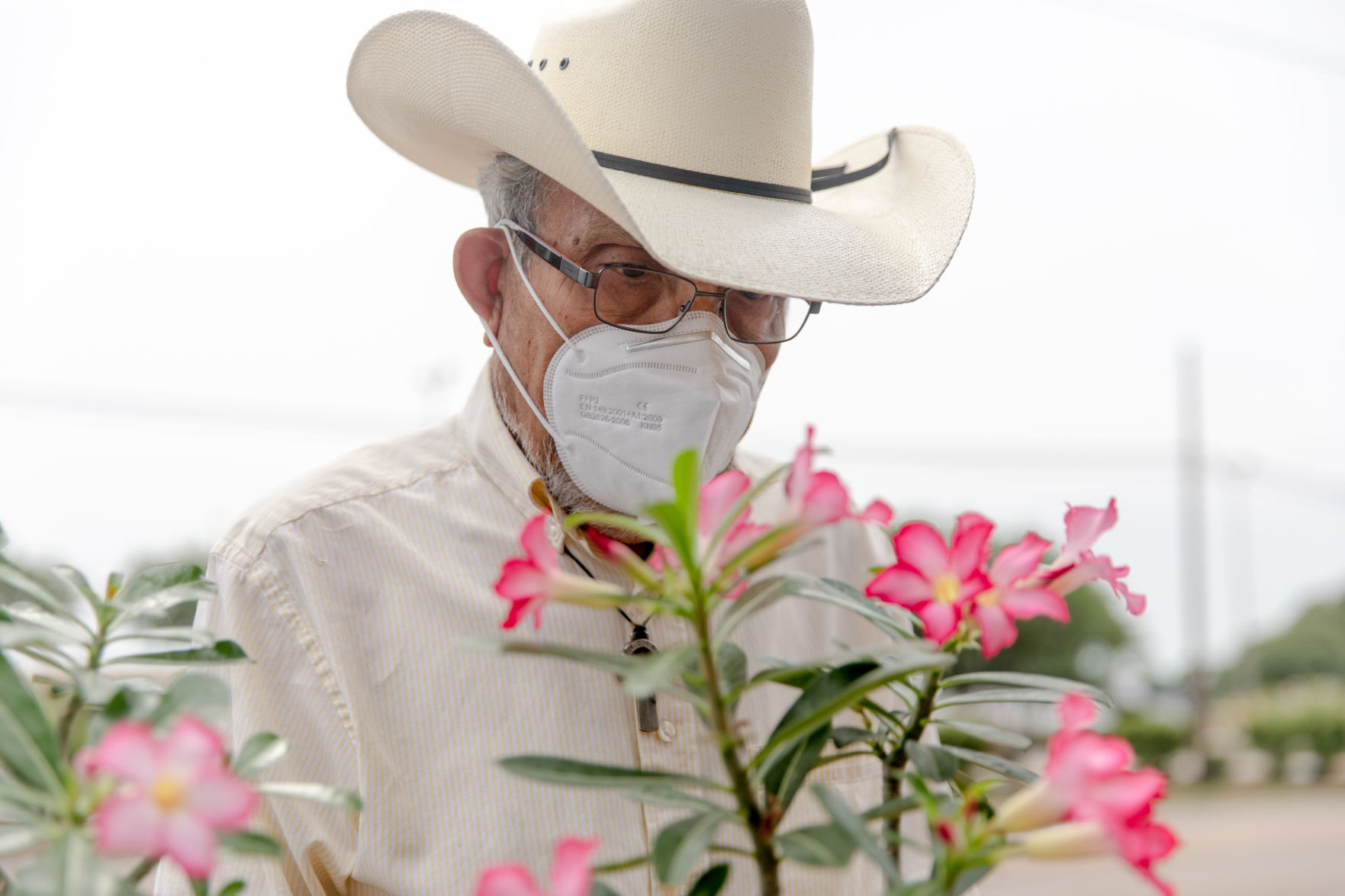 Exhibit Preview: Coronavirus at the Coastal Bend